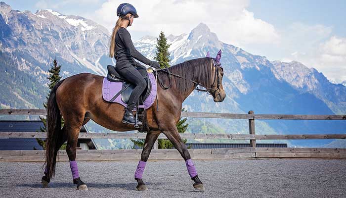Iniziare l'equitazione: Tutto quello che devi sapere prima di cominciare