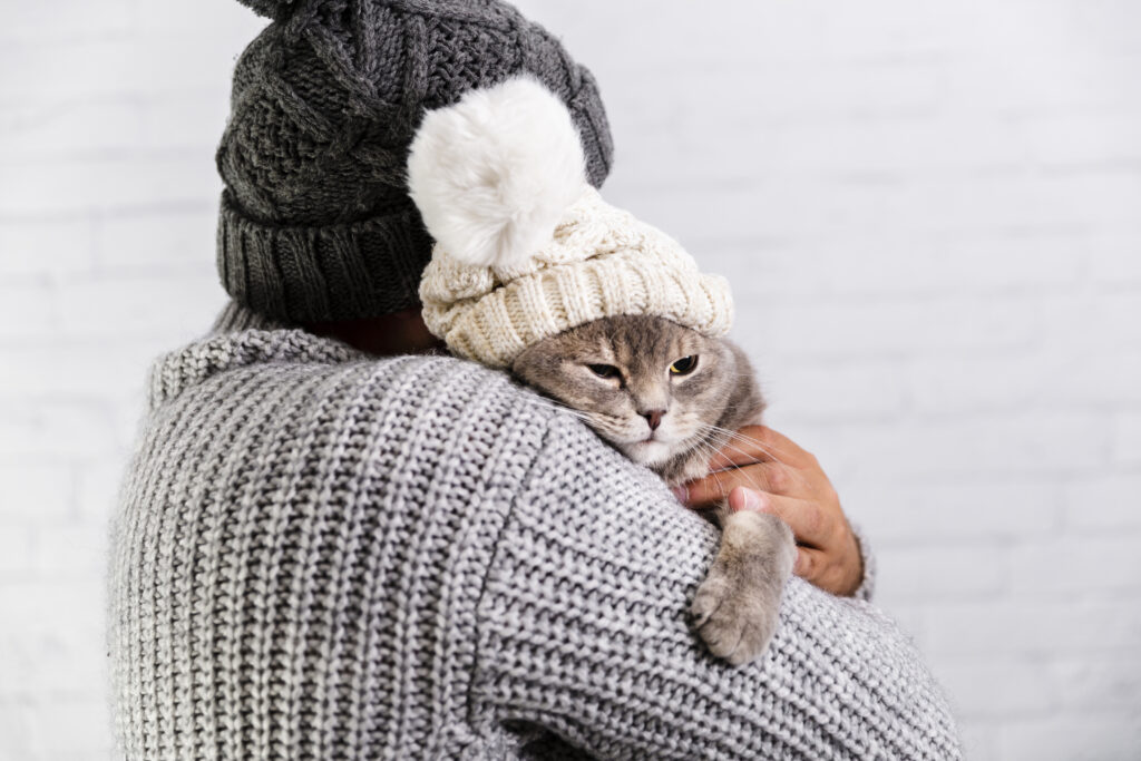 Il gatto si affeziona.