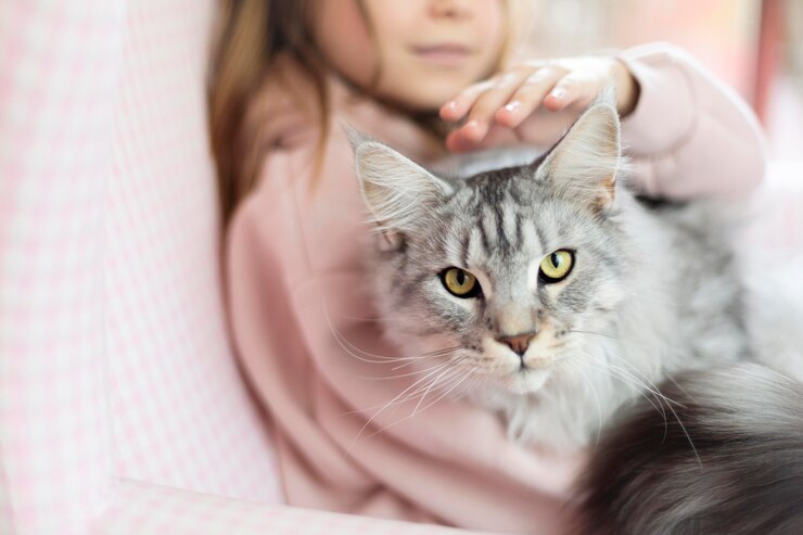 Un gatto può percepire le persone cattive come un cane?