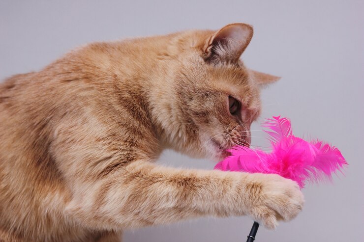 I giochi con piume e pendagli che faranno impazzire il tuo gatto