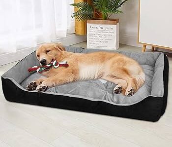 Cuccia per cani taglia grande: il comfort dei grandi spazi
