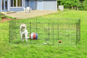 Un recinto per cane da esterno per prevenire fughe e pericoli
