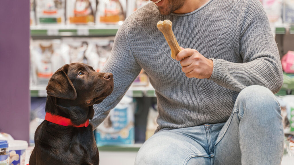 Ossi per cani da masticare: una delizia per mantenere il tuo cane felice e sano